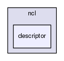 ncl30/include/ncl/descriptor