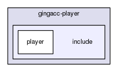 gingacc-player/include