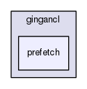 gingancl/include/gingancl/prefetch
